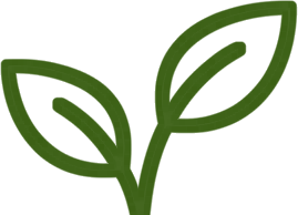 RankSeeds